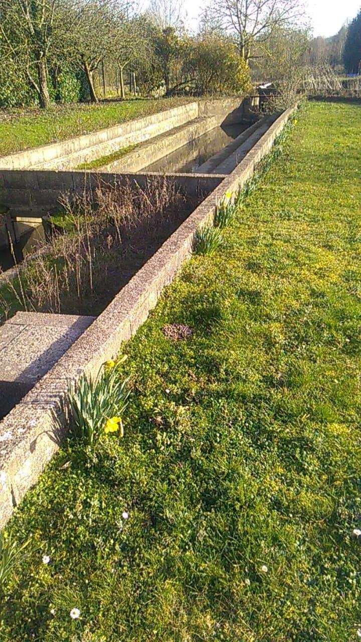 Gite Du Pont De Tancelle Préaux エクステリア 写真